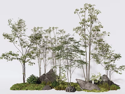 Lush Arbor Trees in Natural Landscape With Rocks and Green Grass 3d model