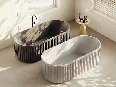 Modern Bathroom With Two Textured Bathtubs Natural Light And Side Table 3d model