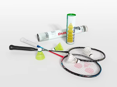 Complete Badminton Sports Equipment Set Including Rackets Shuttlecocks And Tubes 3d model