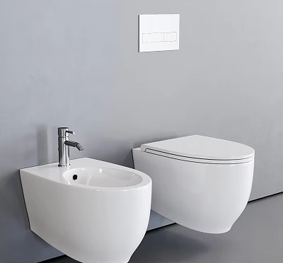 Modern White Toilet And Bidet In Sleek Bathroom With Gray Wall Design 3d model