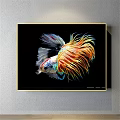 Colorful Betta Fish Animal Painting With Vibrant Fins And Tail On Black Background