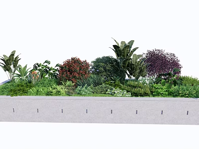 Various Types Of Shrubs With Mixed Greenery In Concrete Planter Garden Design 3d model