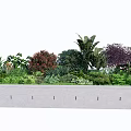 Various Types Of Shrubs With Mixed Greenery In Concrete Planter Garden Design