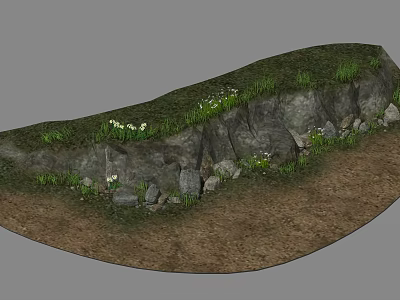 Rocky Slope With Lush Green Grass White Wildflowers And Earthy Soil 3d model
