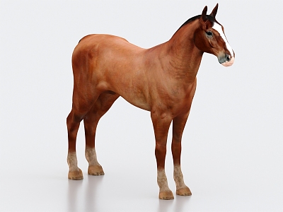 horse animal 3d model