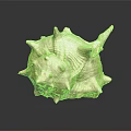 Modern Conch Bone Snail 3d model