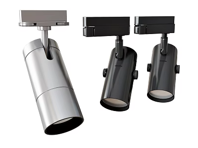 Modern Adjustable Downlights And Spotlights With Silver Black Metal Finish For Indoor Lighting Fixtures 3d model