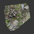 Natural Woodland Scene Component With Tree Stumps Stones And Green Grass