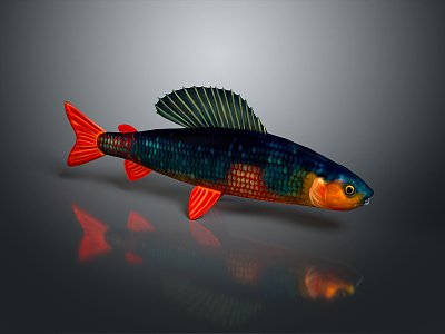 Fish Cartoon Fish Anime Fish Stylized Fish Fantasy Style Fish Freshwater Fish Ornamental Fish 3d model
