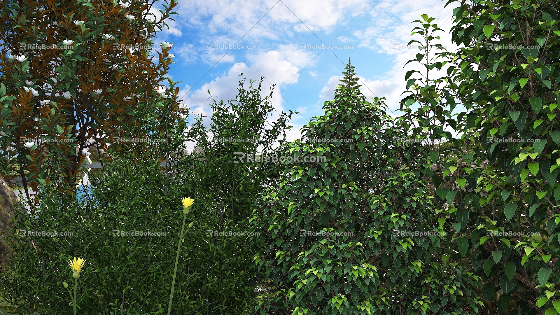 Modern shrubs 3d model