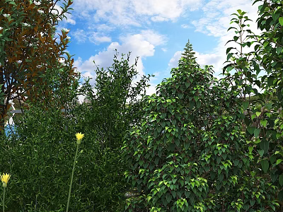 Lush Green Shrubs In Outdoor Garden With Blue Sky White Clouds And Yellow Flowers 3d model