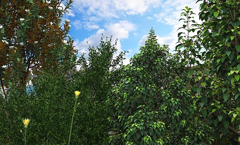 Modern shrubs 3d model