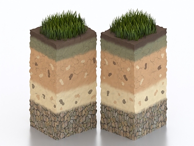 Grassland Grass Lawn Soil Structure Surface Structure Crust model