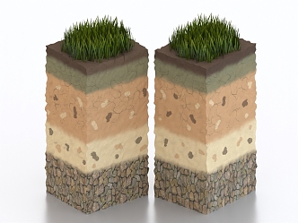 Grassland Grass Lawn Soil Structure Surface Structure Crust 3d model