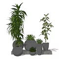 Green Leafy Bonsai and Potted Plants with Gray Ceramic Pots on Stone Stand