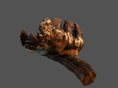 Hand Carved Natural Wooden Sculpture With Textured Surface And Irregular Shape 3d model
