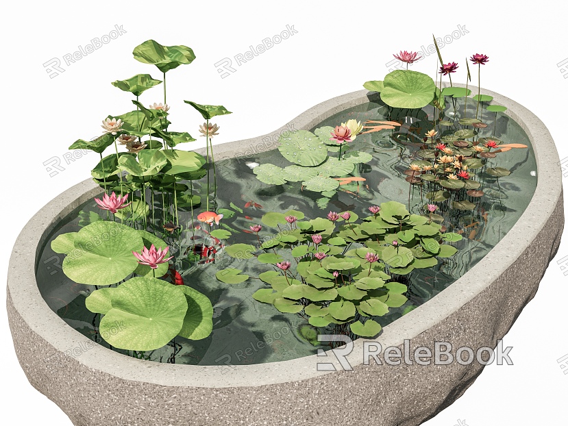 Flowers and Plants Lotus Pond Lotus Aquatic Plants Landscape Sketches Courtyard End View Flower Pot Flower Bowl model