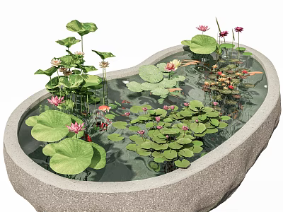 Aquatic Plants Lotus Flowers and Lily Pads in Stone Pond with Small Fish Swimming 3d model