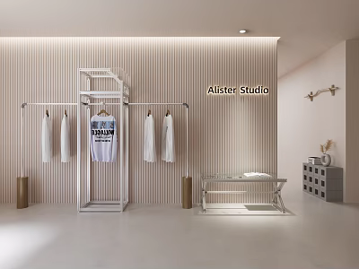 Alister Studio Modern Clothing Store Interior Featuring Clothing Racks Striped Wall And Apparel 3d model