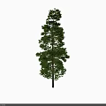 Natural Green Decorative Ornament Set With Lifelike Pine Tree Branches And Leafy Foliage