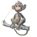 Monkey Primate Wildlife Forest Animal Social Behavior Climbing Ability Reproduction and Habitat Monkey Group Structure Small Monkey Ornaments 3d model