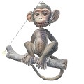 Monkey Primate Wildlife Forest Animal Social Behavior Climbing Ability Reproduction and Habitat Monkey Group Structure Small Monkey Ornaments 3d model