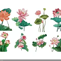 Vibrant Lotus Botanical Illustrations With Green Leaves And Pink Orange Blooms