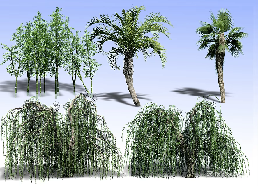 Different Types Of Landscape Trees Including Willow Palm And More Species 3d model 