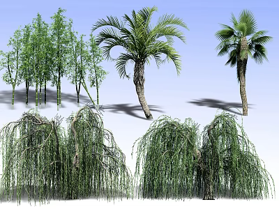 Different Types Of Landscape Trees Including Willow Palm And More Species 3d model