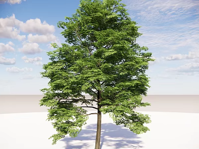 Lush Green Arbor With Dense Foliage Strong Trunk Under Blue Sky And White Clouds 3d model