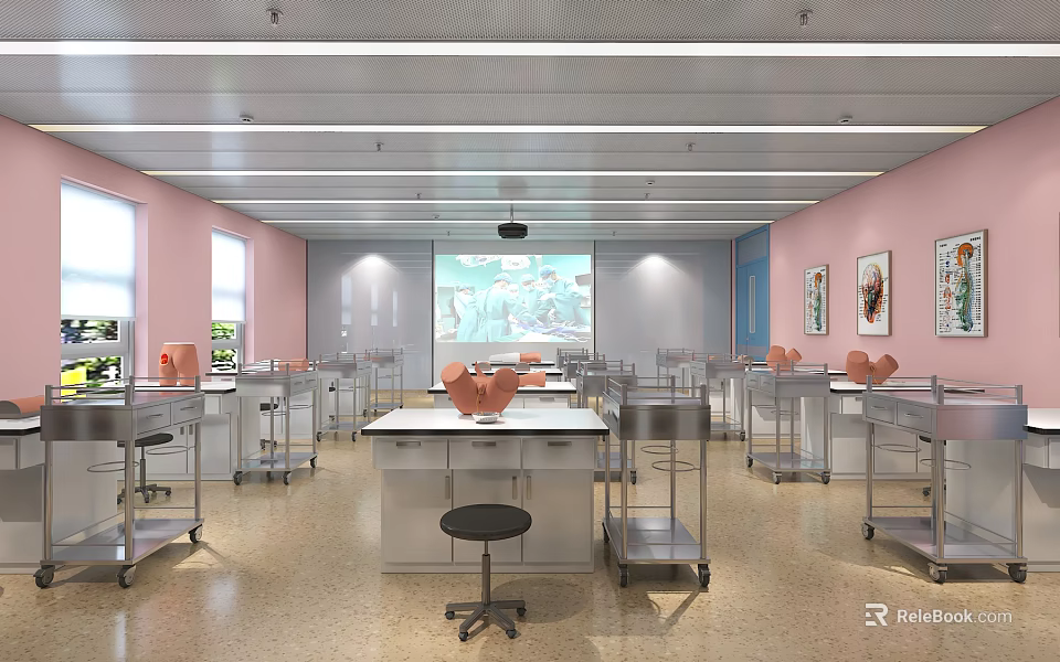 School Science Lab With Pink Walls Windows Metal Lab Tables Projector Screen And Orange Models 3d model 