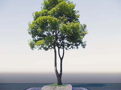 Lush Green Arbor With Dual Trunks And Fresh Foliage On Stone Base 3d model