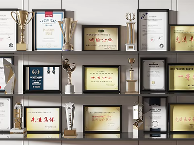 Collection of Various Trophies and Medals with Certificates Displayed on Decorative Shelves for Recognition Awards 3d model