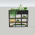 Multi tiered Black Garden Shelf With Green Plants Hanging Vines And Small Potted Plants