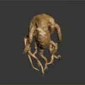 Golden Octopus Sculpture With Detailed Curly Tentacles And Metallic Texture On Dark Reflective Surface