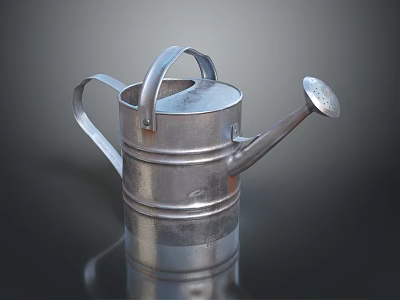 Metal Watering Can With Sturdy Handle Long Spout And Shiny Surface 3d model