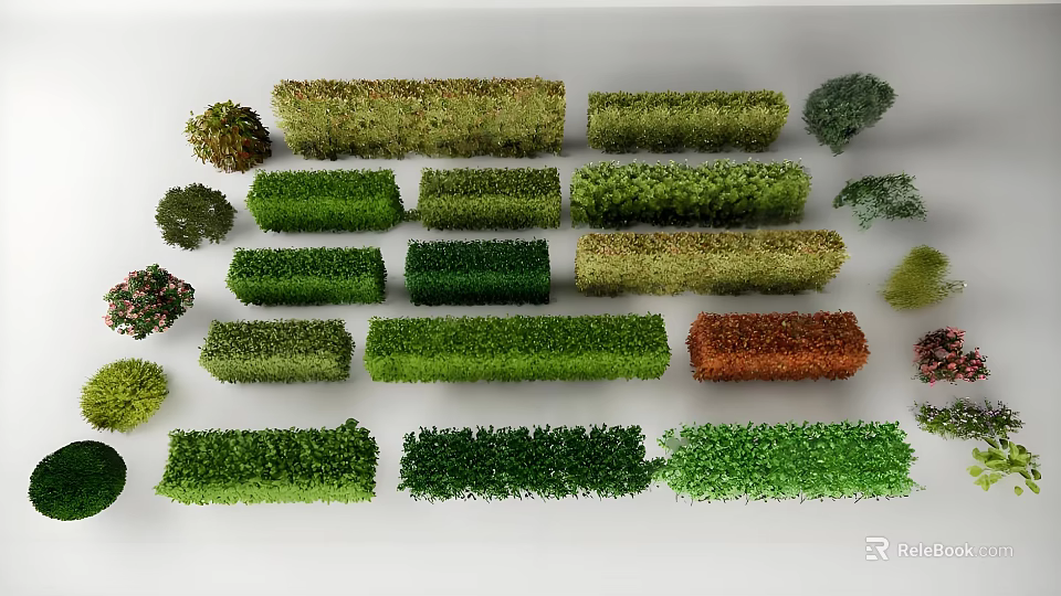 Diverse Ornamental Shrubs In Various Shapes Sizes And Colors For Landscaping 3d model 