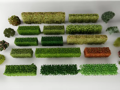 Diverse Ornamental Shrubs In Various Shapes Sizes And Colors For Landscaping 3d model