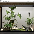 Indoor Landscape Design Featuring Green Plants Large Leaves Rocks Small Lights And White Wall