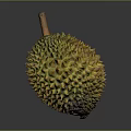 Fresh Whole Yellow Spiky Durian Fruit With Brown Stem On Gray Background
