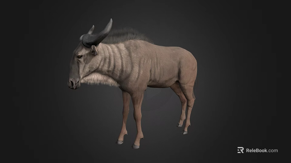 Realistic 3D Antelope Model With Grey Body Horns And Standing In Dark Background 3d model 