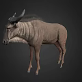 Realistic 3D Antelope Model With Grey Body Horns And Standing In Dark Background