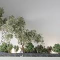 Outdoor Landscape Plant Combination With Various Trees Shrubs And Natural Greenery Arrangement