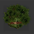 Enchanting Cartoon Scene With Tall Pine Trees Colorful Flowers And Mushrooms In Green Forest
