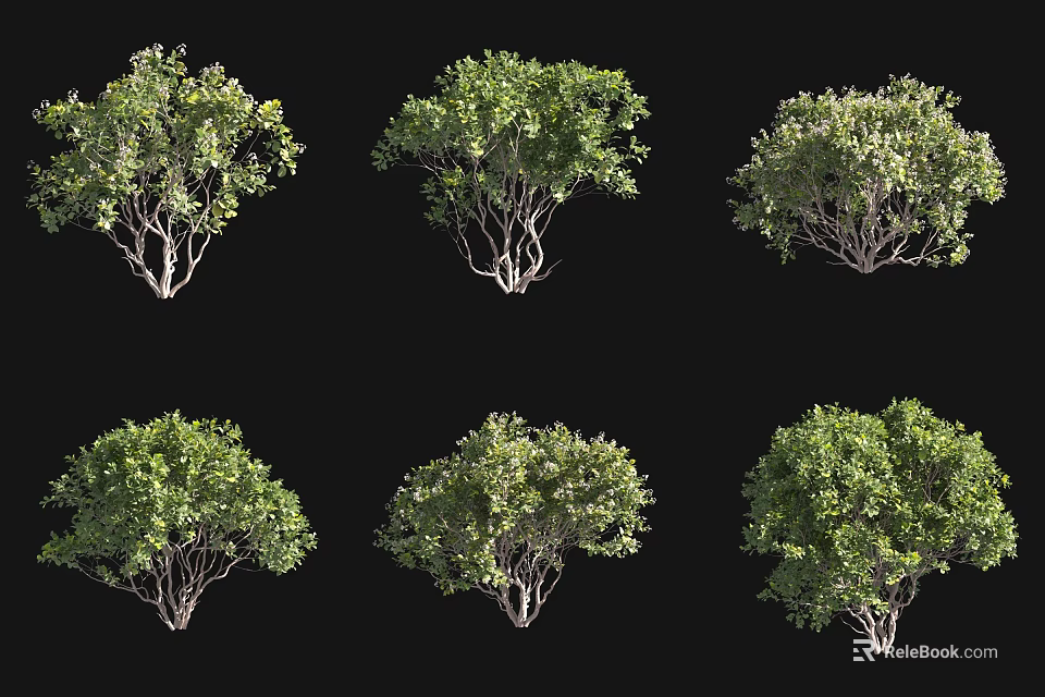 Six Different Shrub Varieties Featuring Lush Green Foliage for Garden Landscaping 3d model 