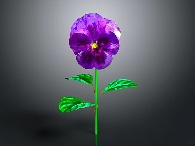 Vibrant Purple Pansy Flower With Green Leaves On Gray Background 3d model