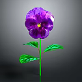 Vibrant Purple Pansy Flower With Green Leaves On Gray Background