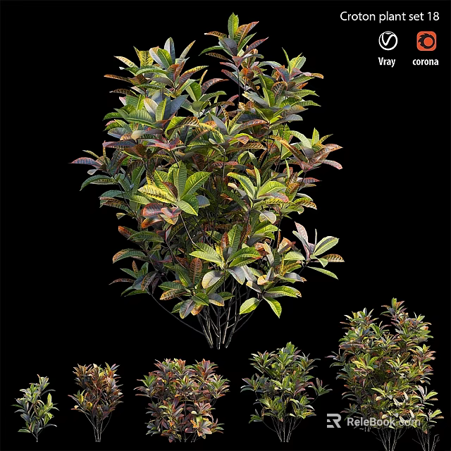Garden Ornamental Viburnum Odoratissimum With Vibrant Foliage Various Sizes For Garden Decoration 3d model 