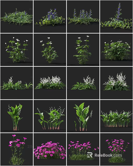 Various Types of Flowers and Plants with White Blooms and Green Foliage 3d model 