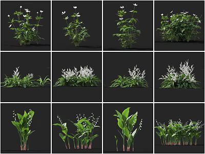 Various Types of Flowers and Plants with White Blooms and Green Foliage 3d model